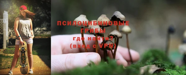 эйфоретик Аркадак