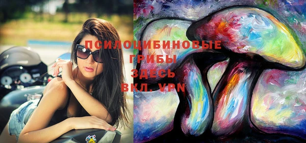эйфоретик Аркадак