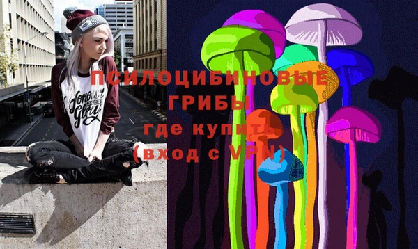 эйфоретик Аркадак