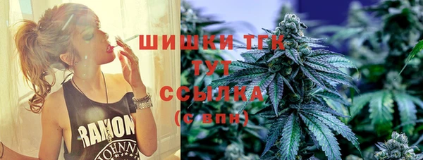 эйфоретик Аркадак