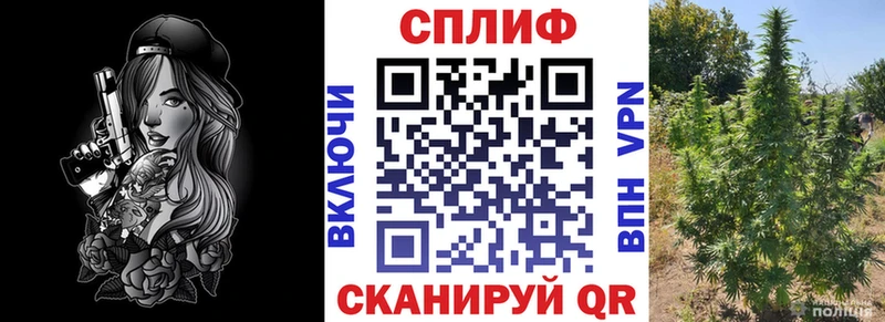 Конопля MAZAR  как найти наркотики  Ртищево 